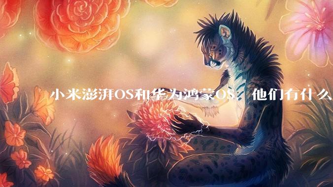 小米澎湃OS和华为鸿蒙OS，他们有什么不一样，谁更有发展前途？