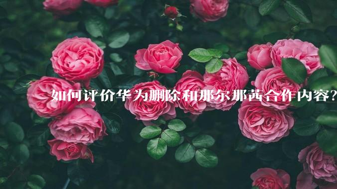 如何评价华为删除和那尔那茜合作内容？