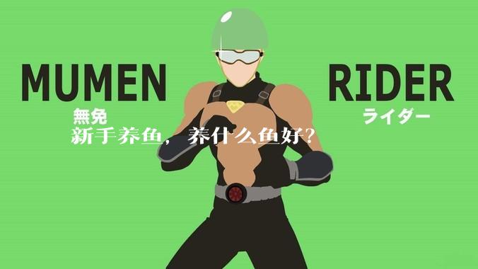 新手养鱼，养什么鱼好？