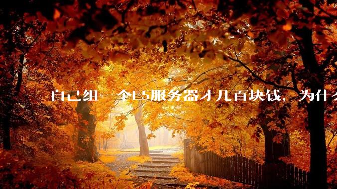 自己组一个E5服务器才几百块钱，为什么去阿里云租这么贵?