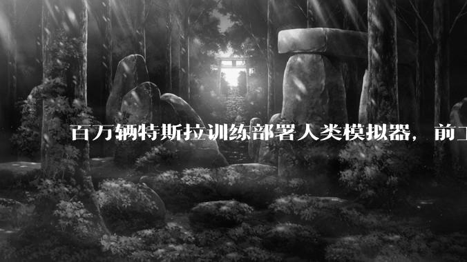 百万辆特斯拉训练部署人类模拟器，前工程师泄露了马斯克的惊天***？_苏莱曼·汗·戈里_工作_数字