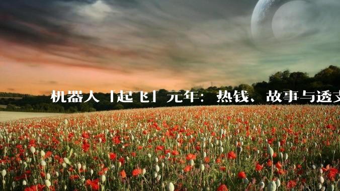 机器人「起飞」元年：热钱、故事与透支的未来_融资_人形_基金