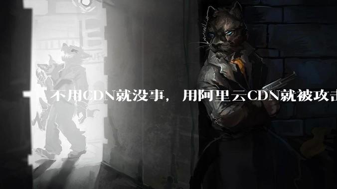 不用CDN就没事，用阿里云CDN就被攻击刷流量，阿里云表示证明不了就要用户买单，如何看到这种行为？