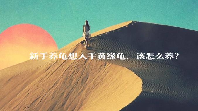 新手养龟想入手黄缘龟，该怎么养？