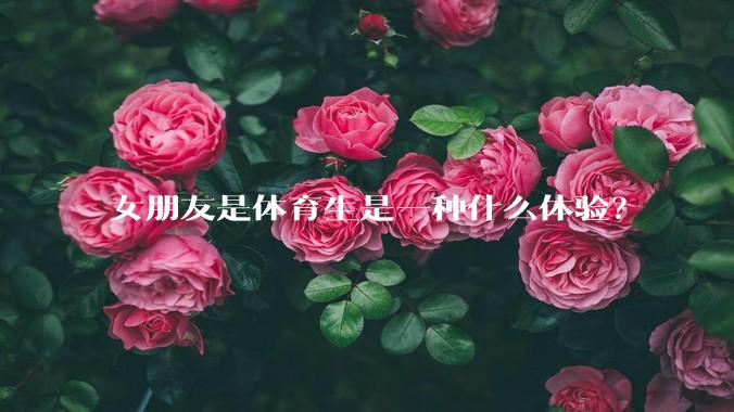 女朋友是体育生是一种什么体验？