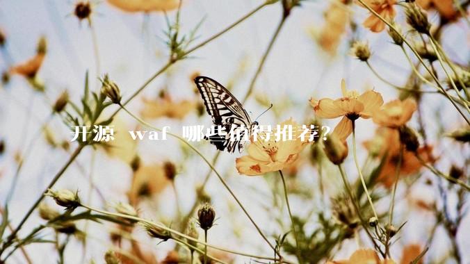 开源 waf 哪些值得推荐？