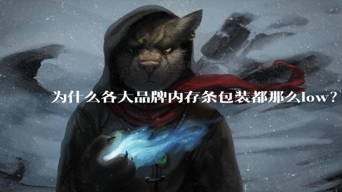 为什么各大品牌内存条包装都那么low？
