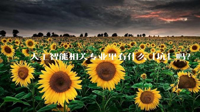 人工智能相关专业里有什么「坑」吗？