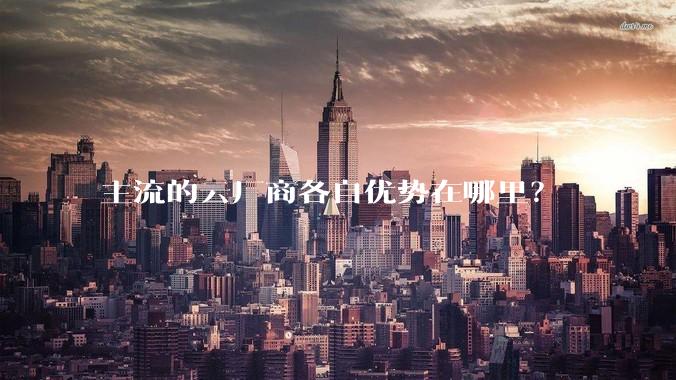 主流的云厂商各自优势在哪里？